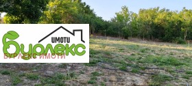 Cselekmény Zajcsino orese, régió Shumen