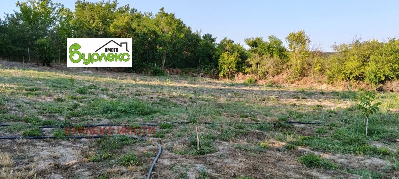 Satılık  Komplo bölge Şumnu , Zayçino oreşe , 900 metrekare | 84827973 - görüntü [2]
