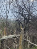 Продава ВИЛА, град Плевен, м-т Кожухарска чешма • 8500 € • 91896357 — Holmes.bg