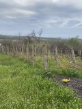 Продава ВИЛА, град Плевен, м-т Кожухарска чешма • 8500 € • 91896357 — Holmes.bg