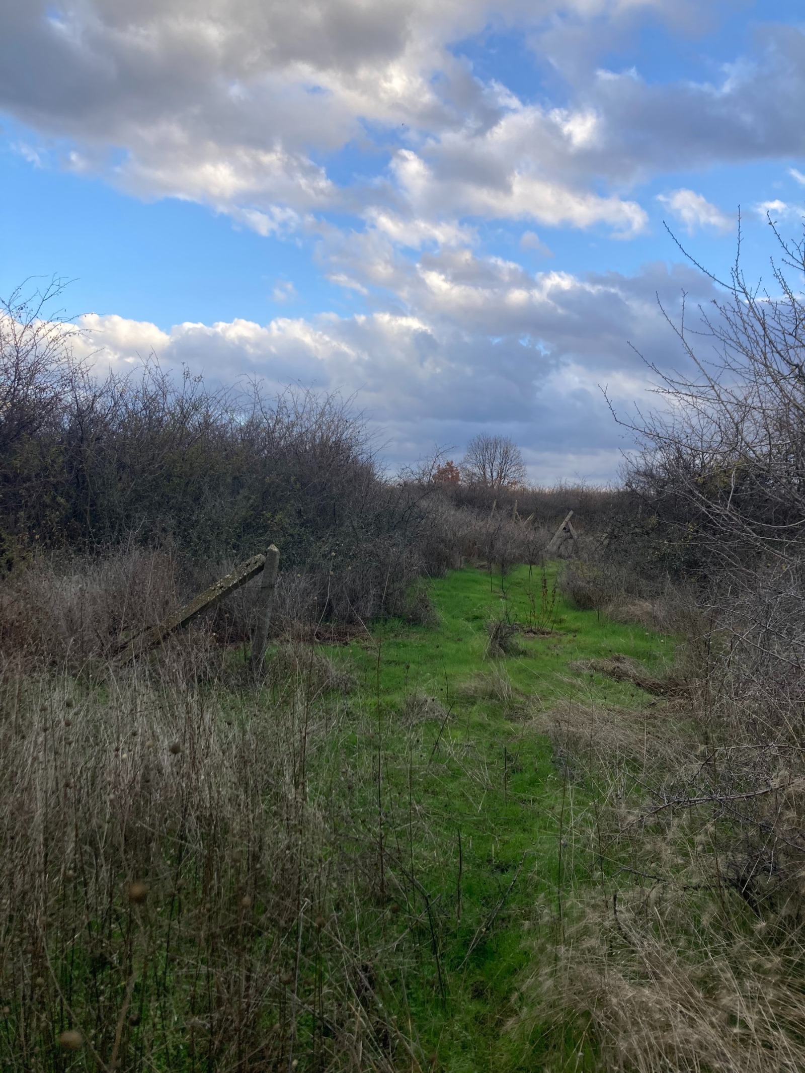 ������� ������ | Imot.bg � ����������� 11