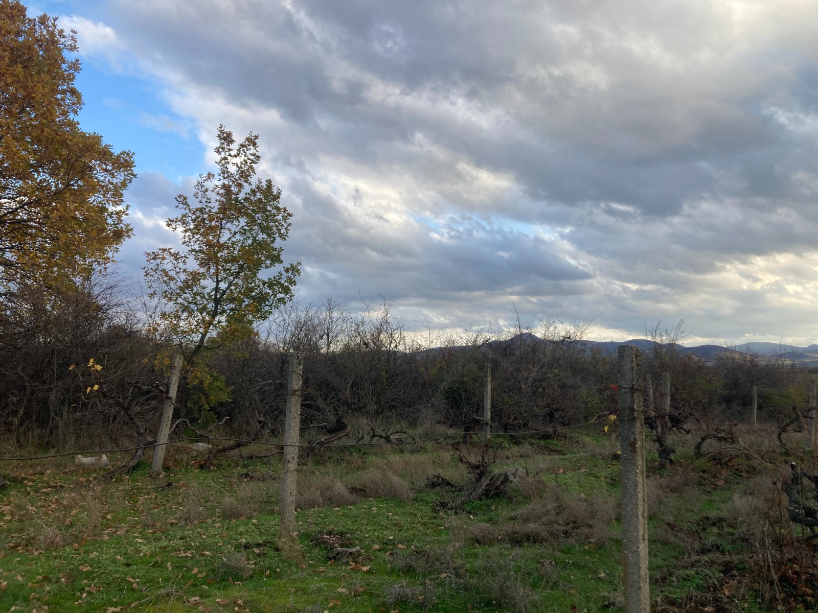 ������� ������ | Imot.bg � ����������� 9