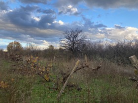 ������� ������ | Imot.bg � ����� ������ 8