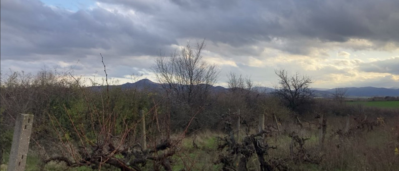 Продава ПАРЦЕЛ, гр. Първомай, област Пловдив, снимка 3 - Парцели - 52561956