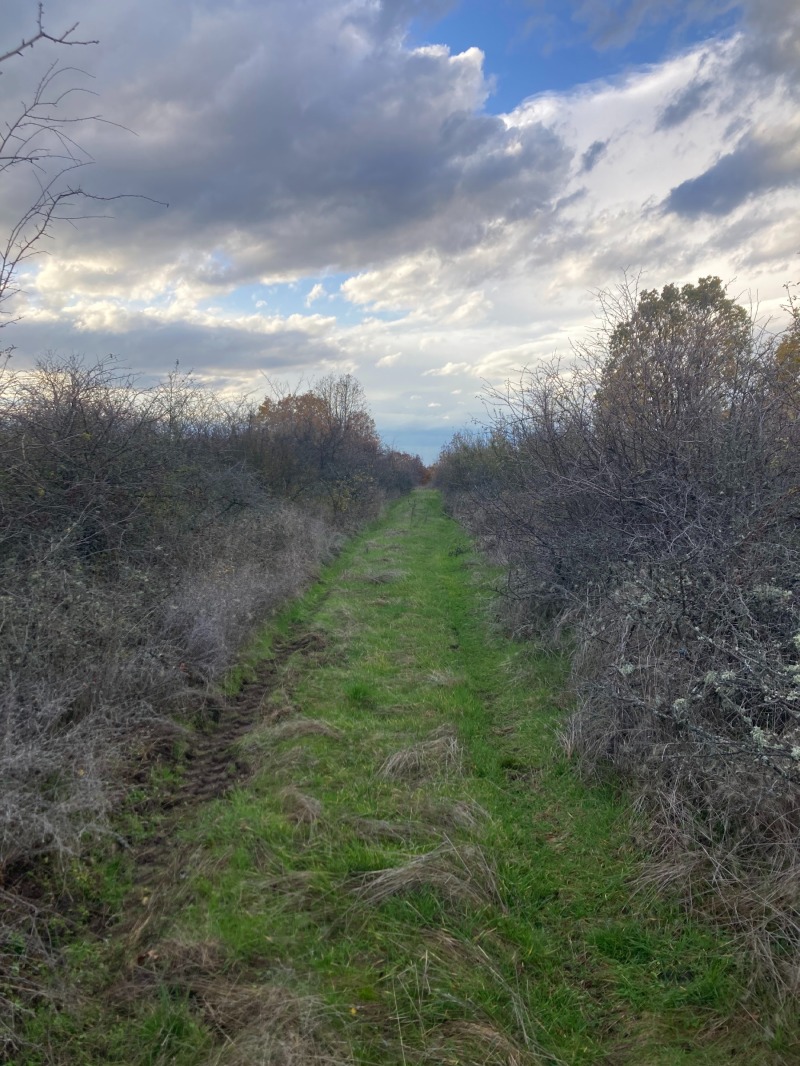 Продава ПАРЦЕЛ, гр. Първомай, област Пловдив, снимка 2 - Парцели - 52561956