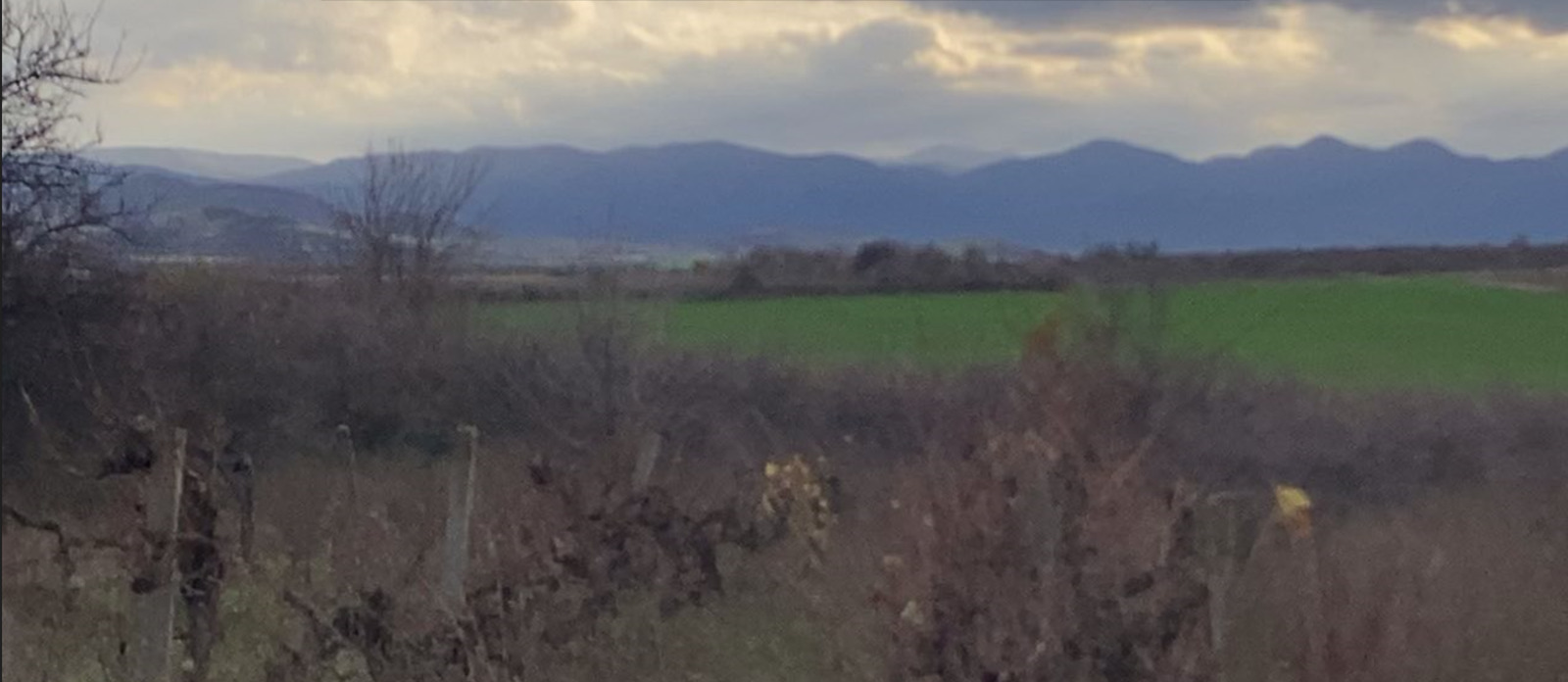 Продава ПАРЦЕЛ, гр. Първомай, област Пловдив, снимка 4 - Парцели - 54328600