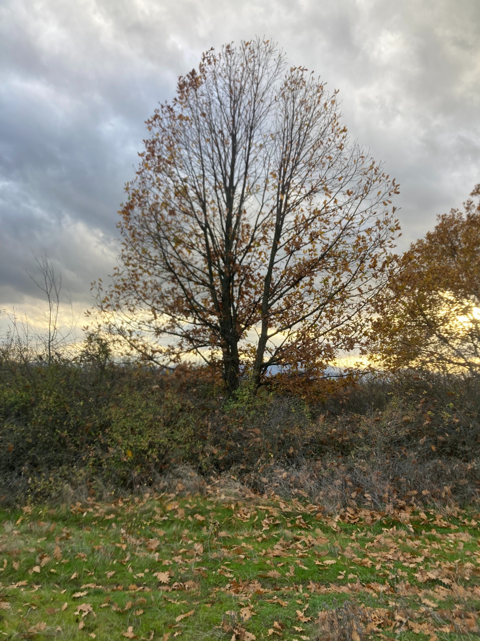 Продава ПАРЦЕЛ, гр. Първомай, област Пловдив, снимка 6 - Парцели - 54328600