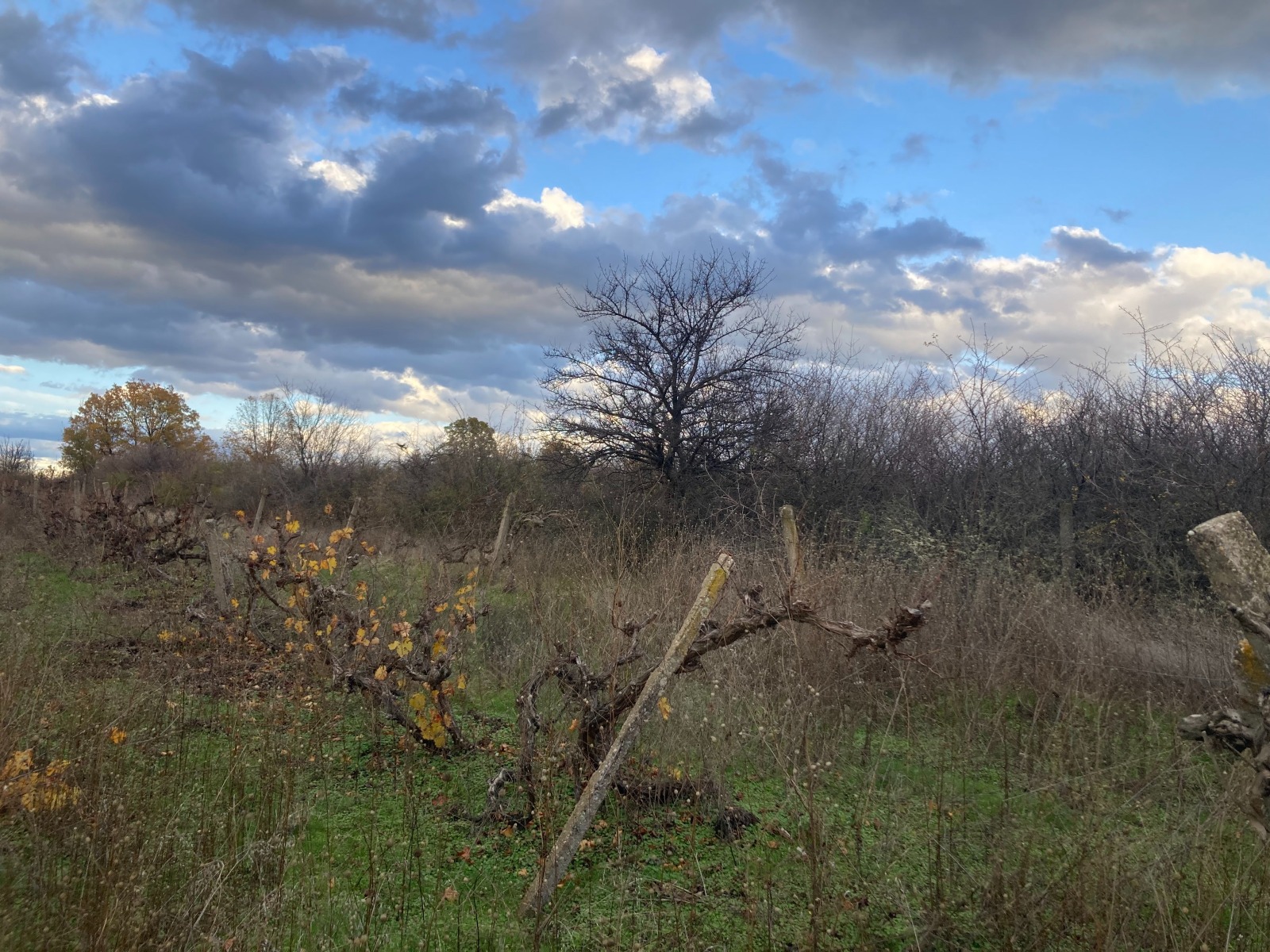 Продава ПАРЦЕЛ, гр. Първомай, област Пловдив, снимка 7 - Парцели - 54328600