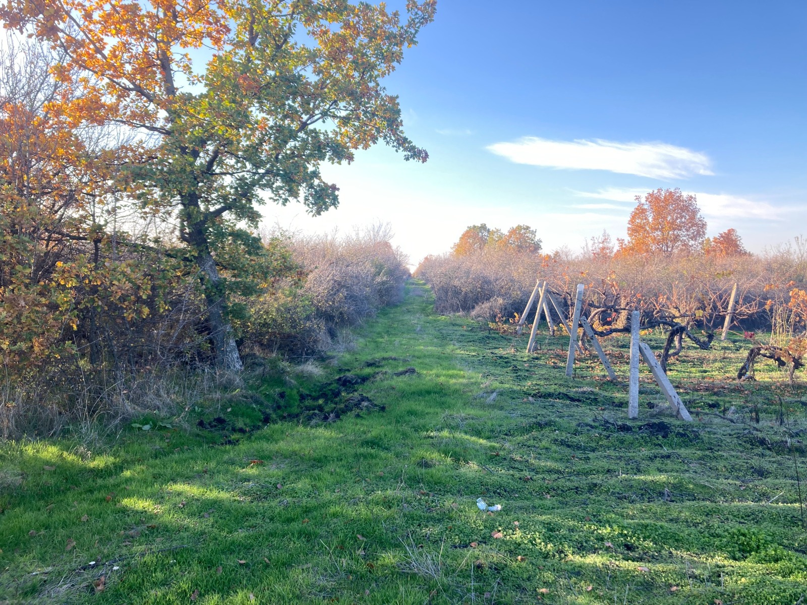 Продава ПАРЦЕЛ, гр. Първомай, област Пловдив, снимка 3 - Парцели - 54328600