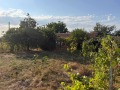 Продава ПАРЦЕЛ, с. Стожер, област Добрич, снимка 2