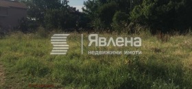 ����� ������� ������,���� �����, �-� ����� �����