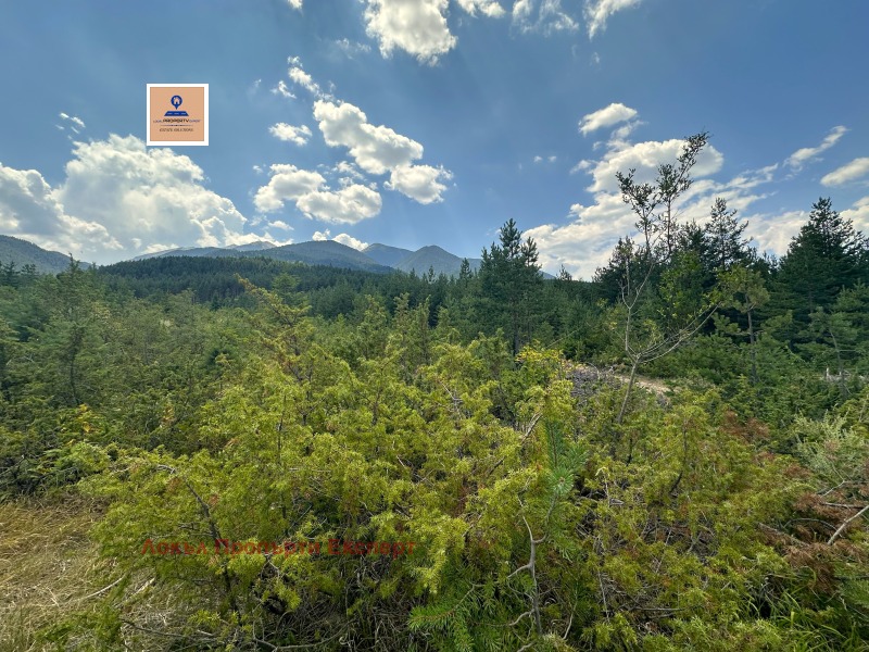 For Sale  Plot region Blagoevgrad , Bansko , 854 sq.m | 68768933 - image [5]