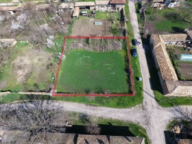 ����� ������� ������,�. ������, ������ ���������