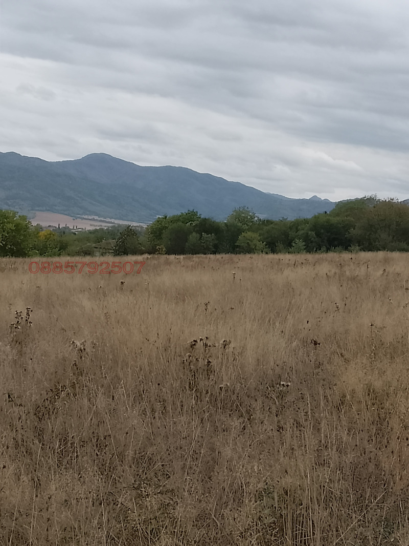 Продава ПАРЦЕЛ, гр. Правец, област София област, снимка 5 - Парцели - 52778991