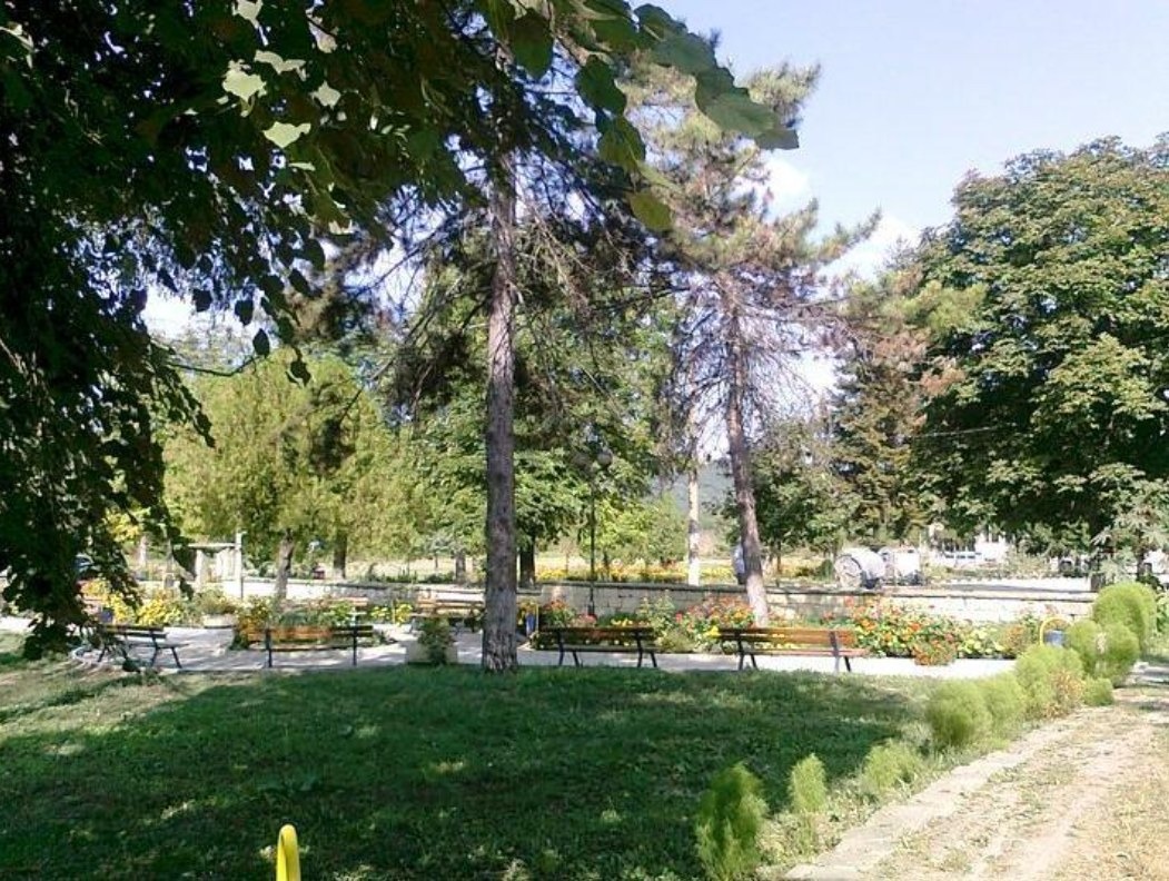 Продава ПАРЦЕЛ, с. Садина, област Търговище, снимка 4 - Парцели - 54121123