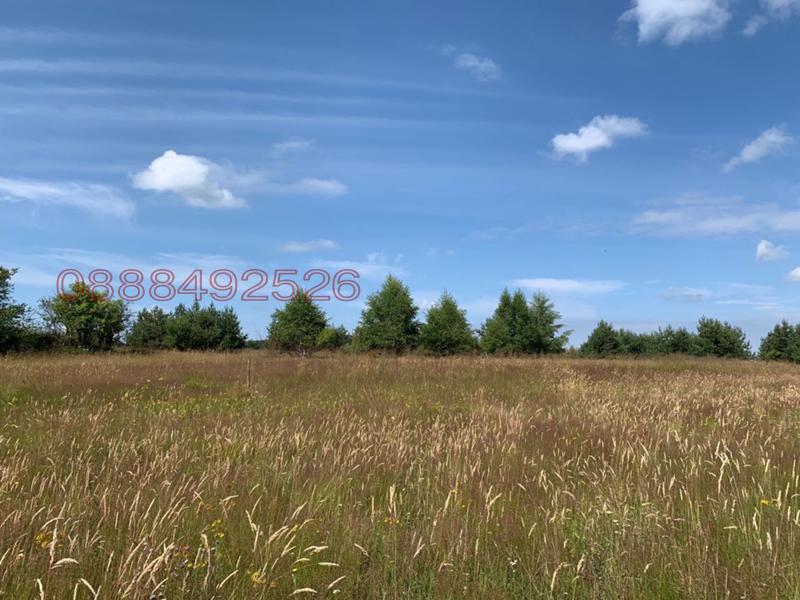 ������� ������ | Imot.bg � ����������� 1