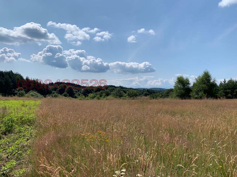 ������� ������ | Imot.bg � ����������� 3