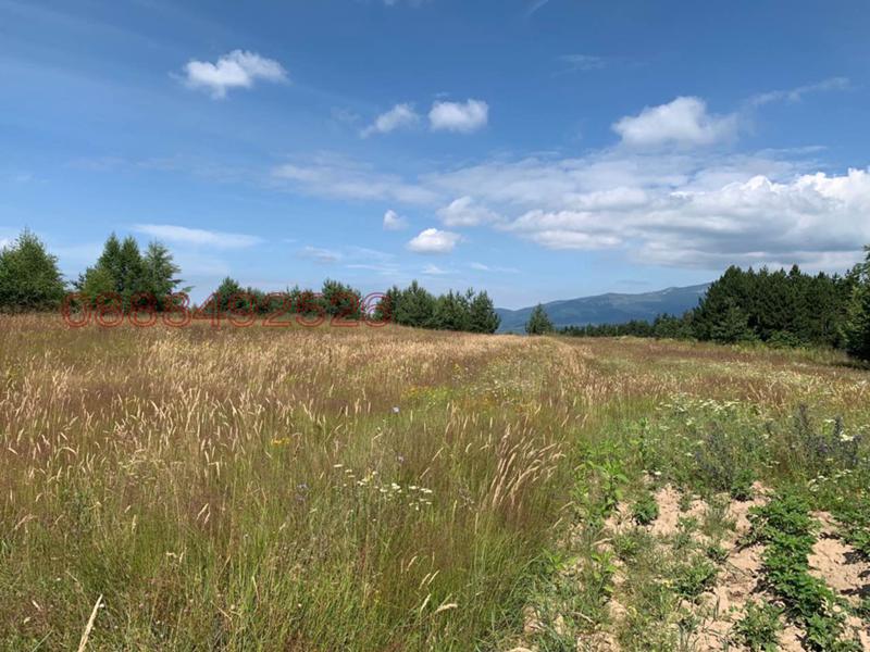 Продава ПАРЦЕЛ, гр. София, с. Плана, снимка 4 - Парцели - 53212139