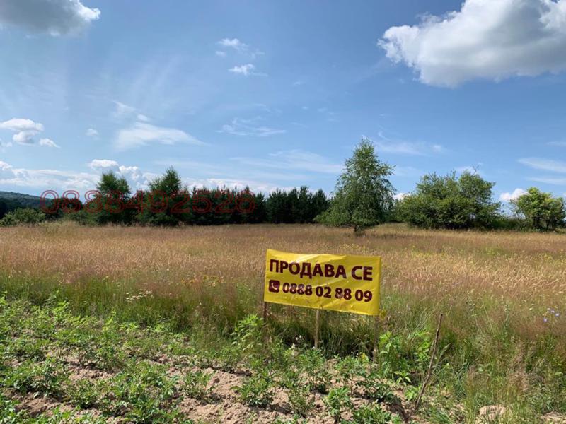 Продава ПАРЦЕЛ, гр. София, с. Плана, снимка 2 - Парцели - 53212139