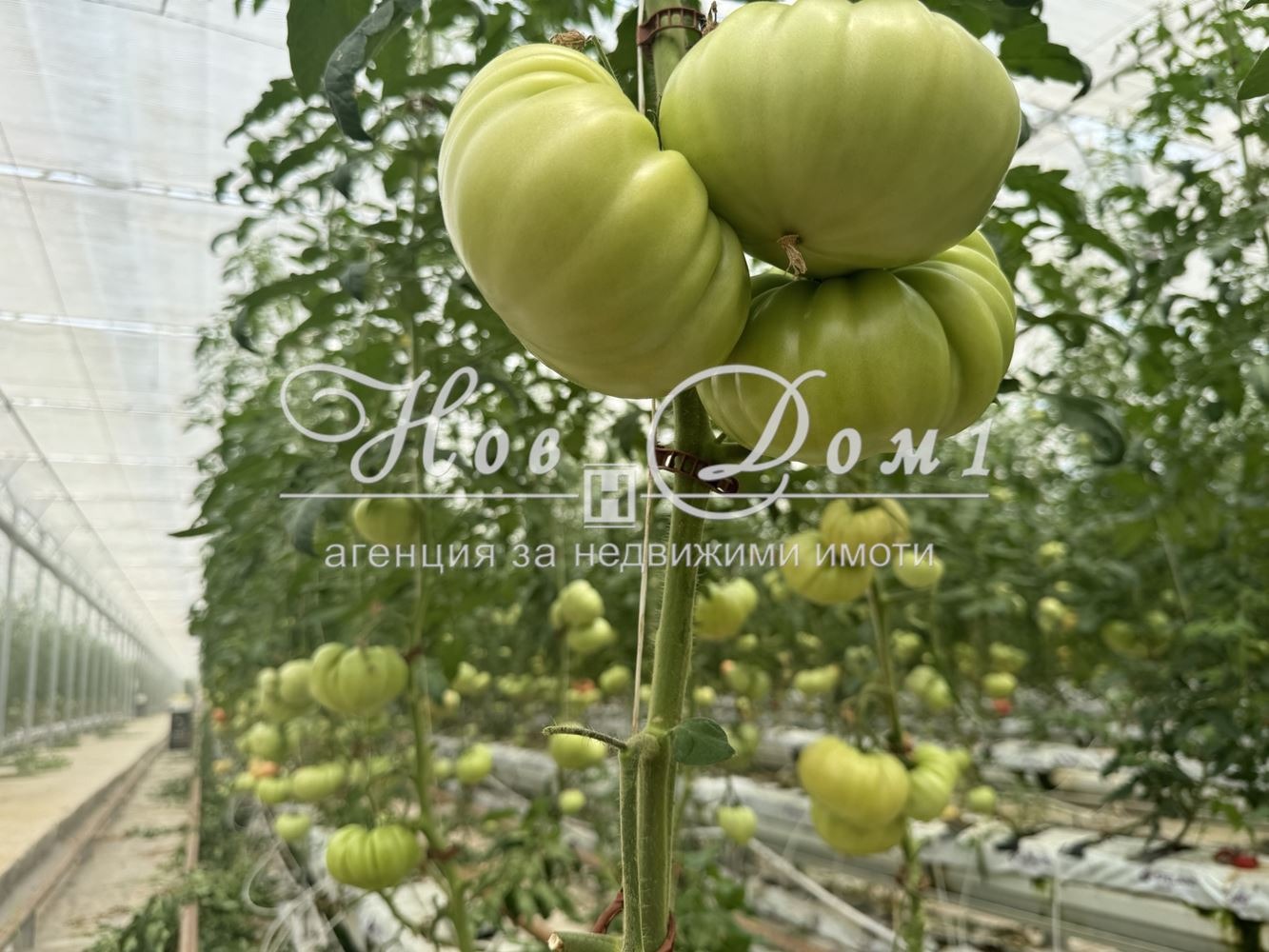 Продава ЗЕМЕДЕЛСКА ЗЕМЯ | Imot.bg — изображение 3