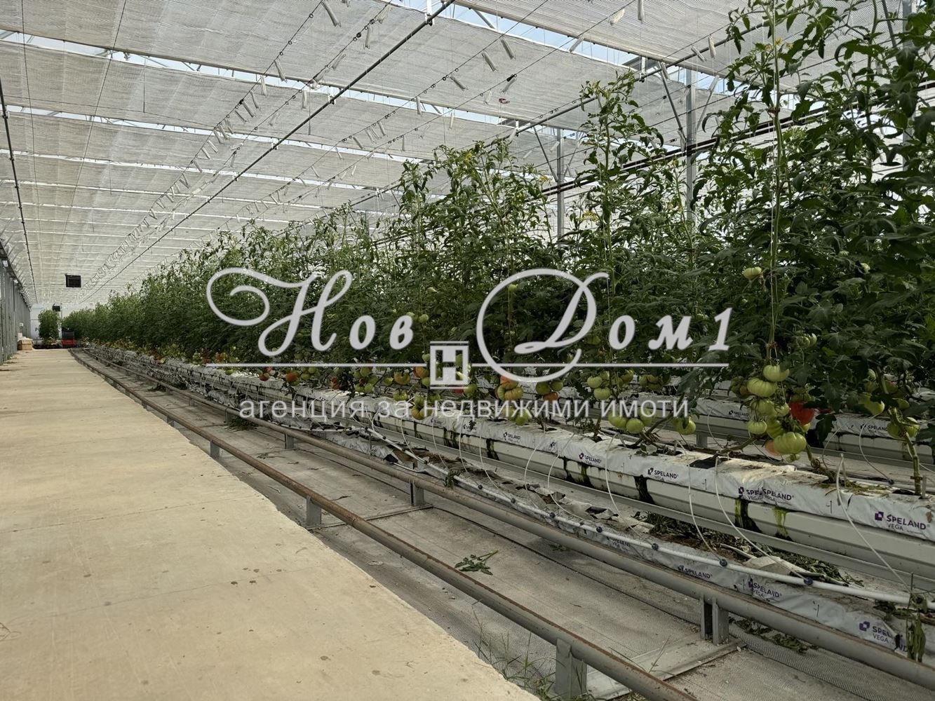 Продава ЗЕМЕДЕЛСКА ЗЕМЯ | Imot.bg — изображение 2