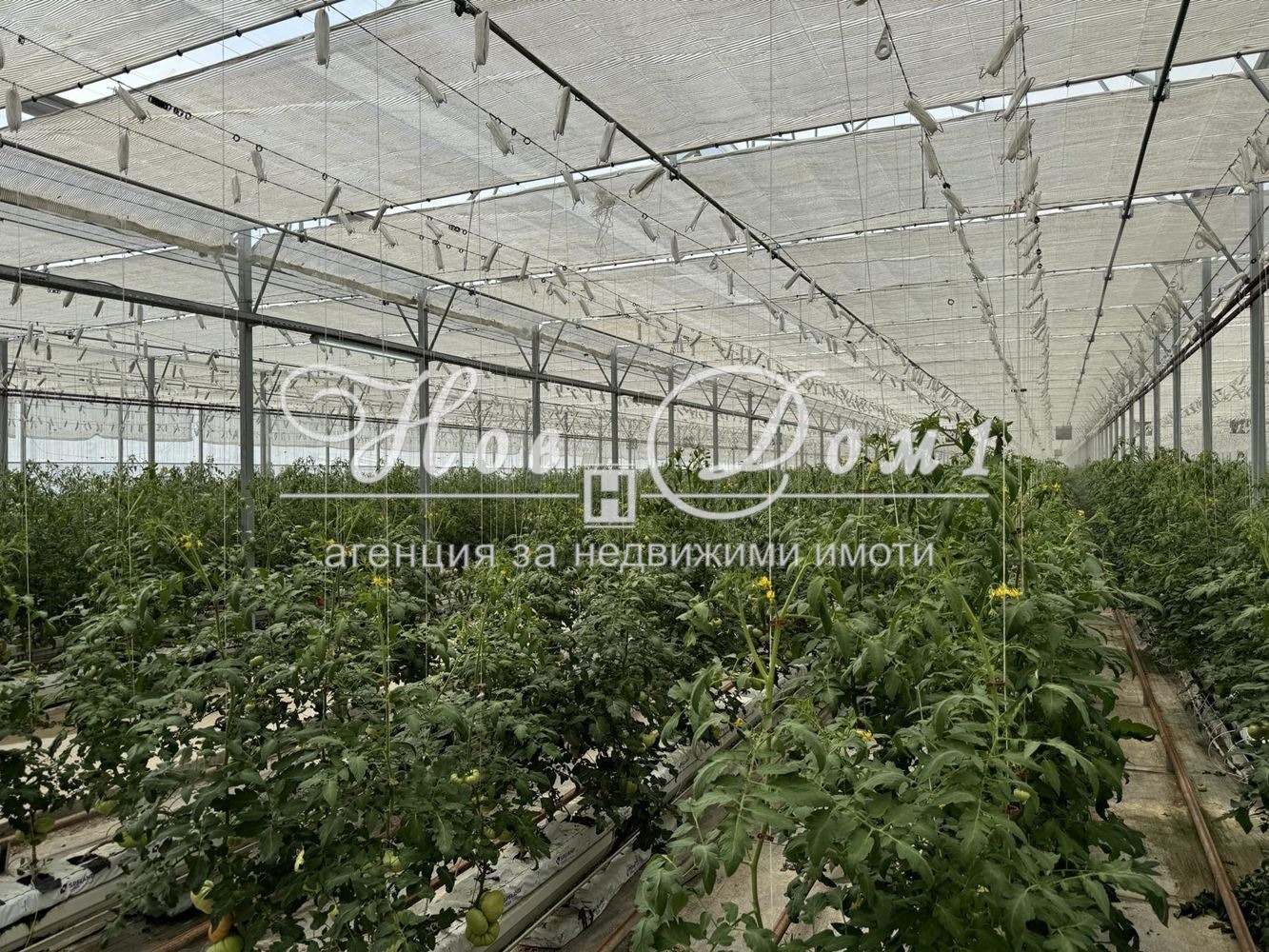 Продава ЗЕМЕДЕЛСКА ЗЕМЯ | Imot.bg — изображение 1