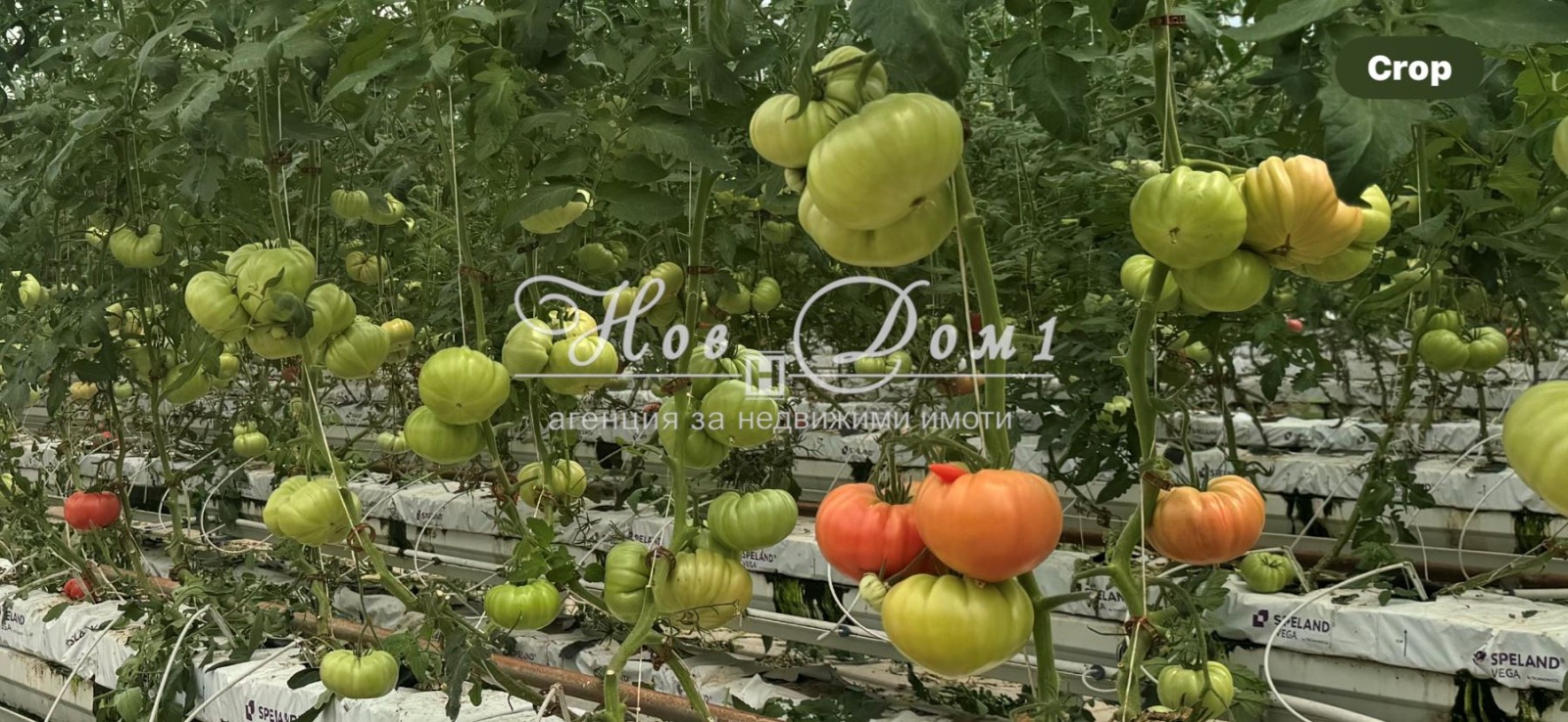 Продава ЗЕМЕДЕЛСКА ЗЕМЯ | Imot.bg — изображение 4