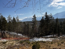 Komplo Razlog, bölge Blagoevgrad 1