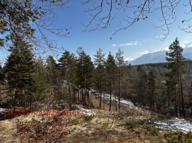 Komplo Razlog, bölge Blagoevgrad 9