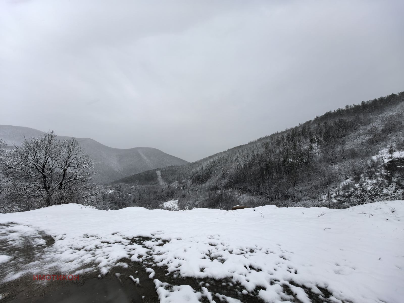 ������� 2-����� | Imot.bg � ����������� 11