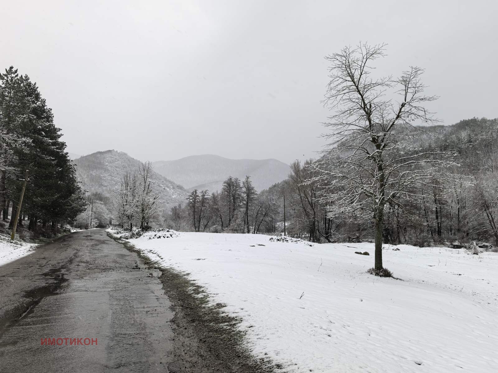 ������� 2-����� | Imot.bg � ����������� 14