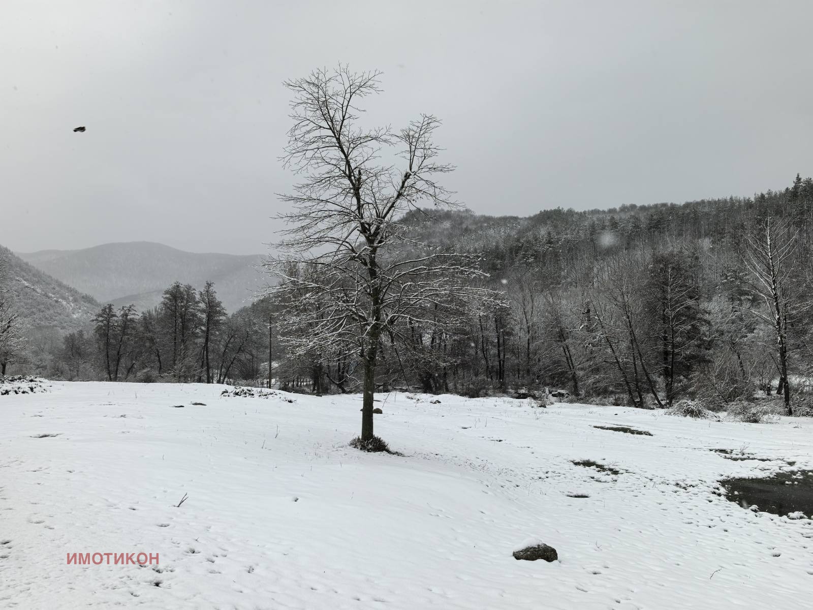 ������� 2-����� | Imot.bg � ����������� 10