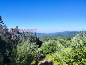 Γη Δοβραλακ, περιοχή Plovdiv 1