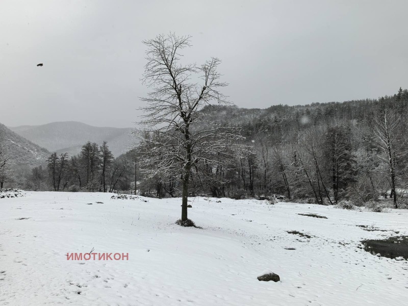 Продава 2-СТАЕН, с. Боров дол, област Сливен, снимка 10 - Апартаменти - 53602866