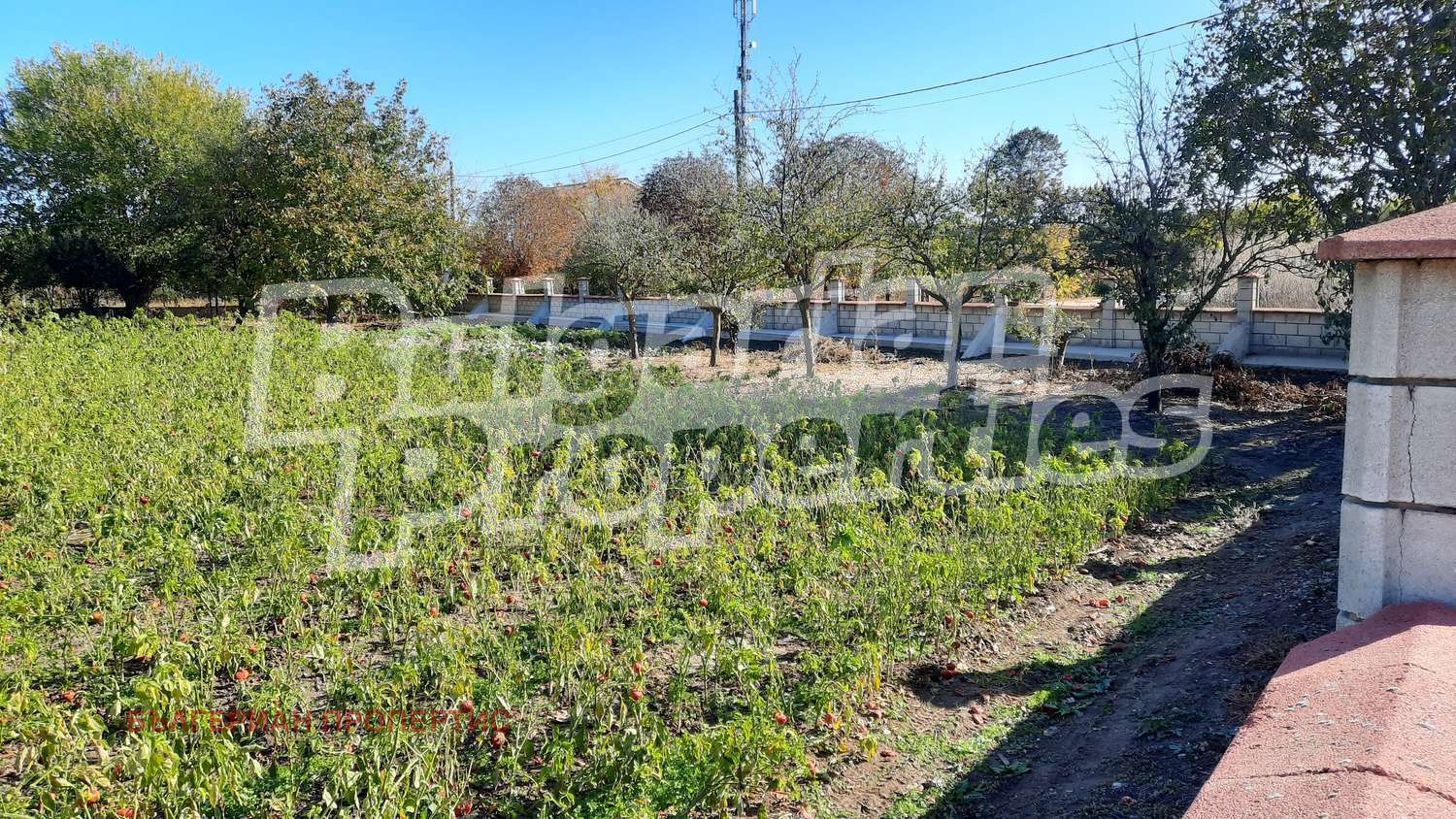 Продава ПАРЦЕЛ | Imot.bg — изображение 5