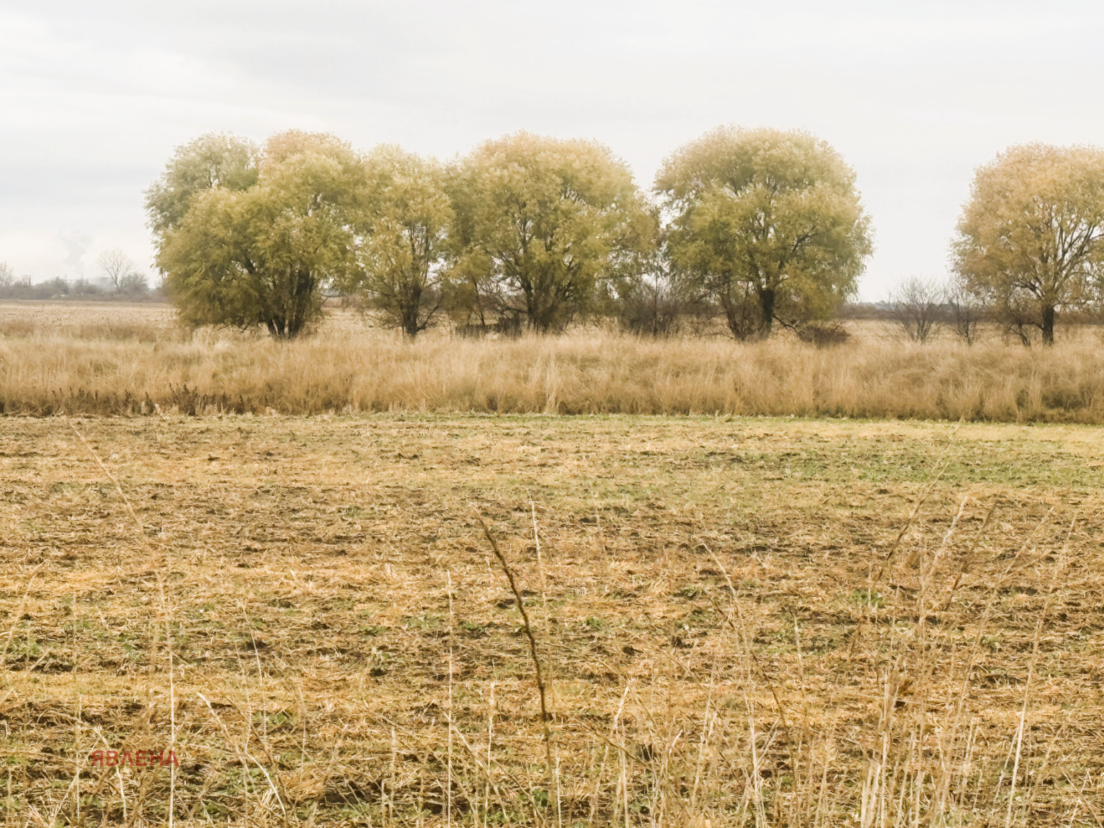 Продава ПАРЦЕЛ | Imot.bg — изображение 2