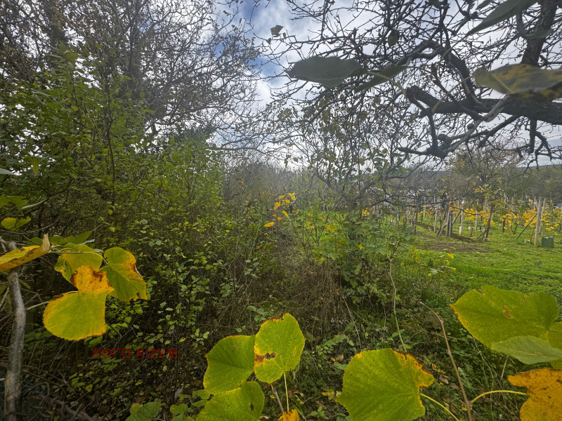 Продава ПАРЦЕЛ, гр. Варна, м-т Евксиноград, снимка 6 - Парцели - 52468518