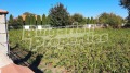 Продава ПАРЦЕЛ, с. Крапец, област Добрич, снимка 2