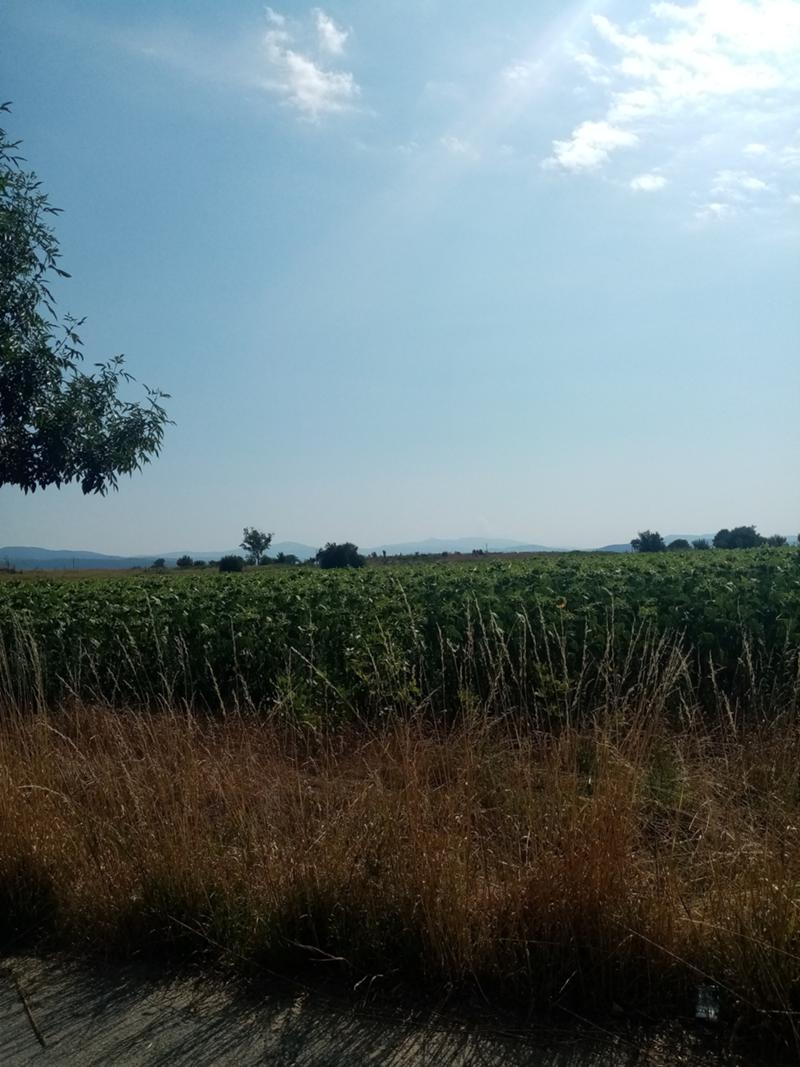 ������� ���������� ���� | Imot.bg � ����������� 1