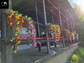 ������� ���� | Imot.bg � ����� ������ 16