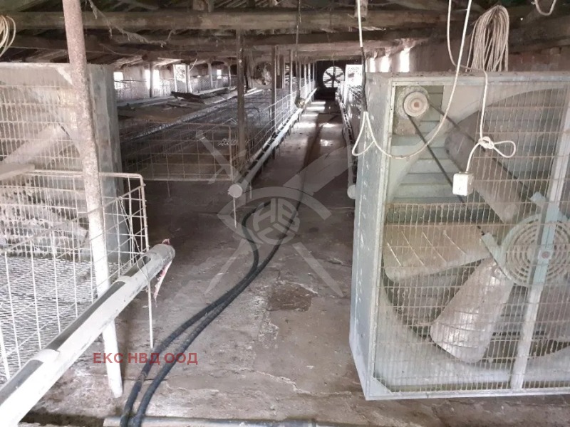 À vendre  Bâtiment industriel région Plovdiv , Karadjalovo , 800 m² | 99963096 - image [3]