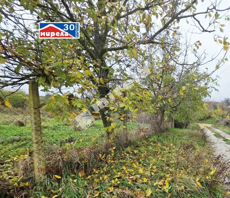 Продава ПАРЦЕЛ, с. Ягнило, област Варна, снимка 3 - Парцели - 52480594