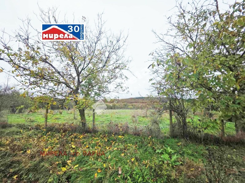 Продава ПАРЦЕЛ, с. Ягнило, област Варна, снимка 2 - Парцели - 52480594