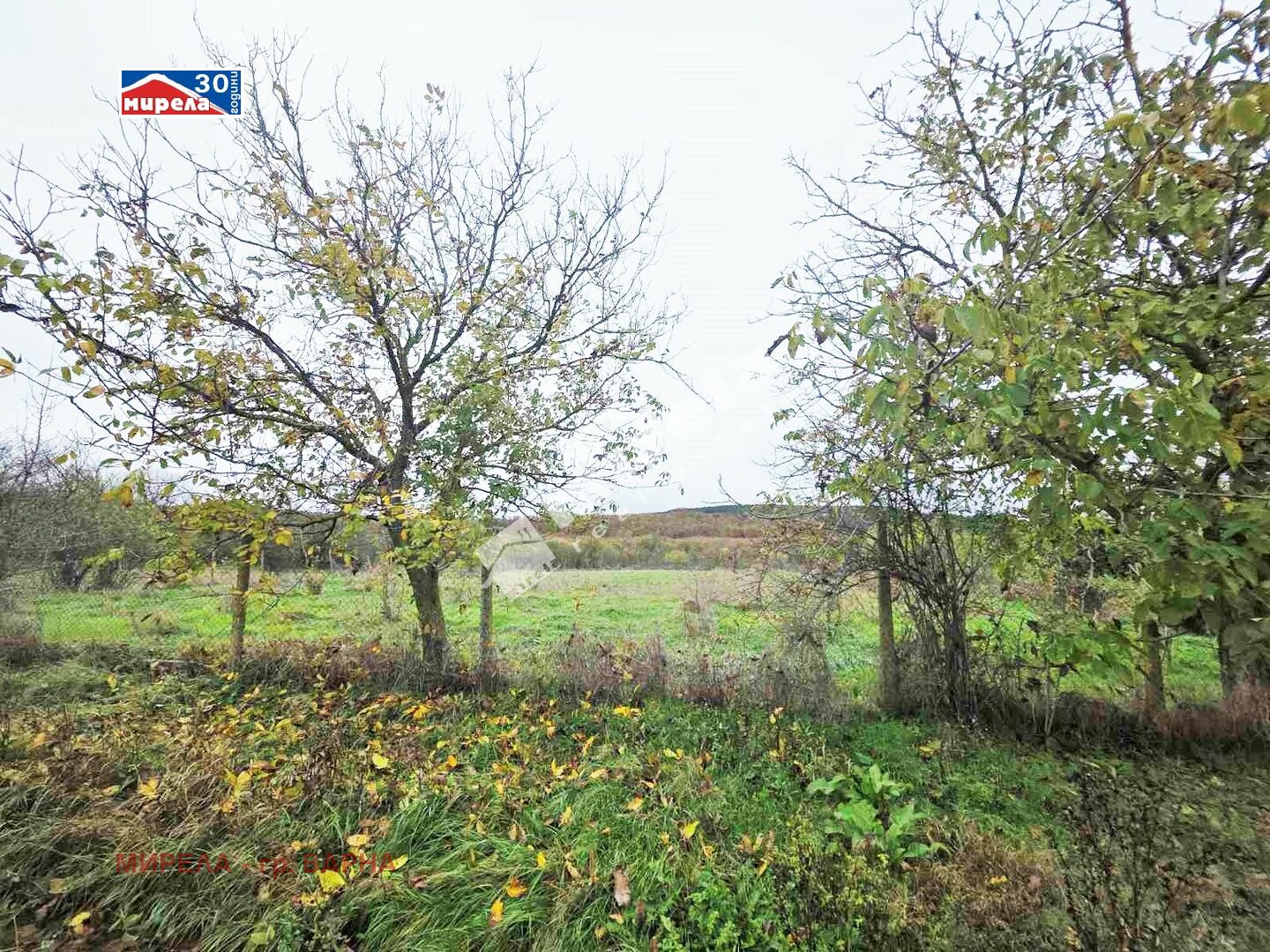 Продава ПАРЦЕЛ, с. Ягнило, област Варна, снимка 2 - Парцели - 52480594