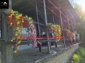 Продава ВИЛА, гр. Габрово, Шенини, снимка 16