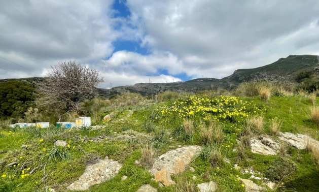 Продава ПАРЦЕЛ | Imot.bg — изображение 2