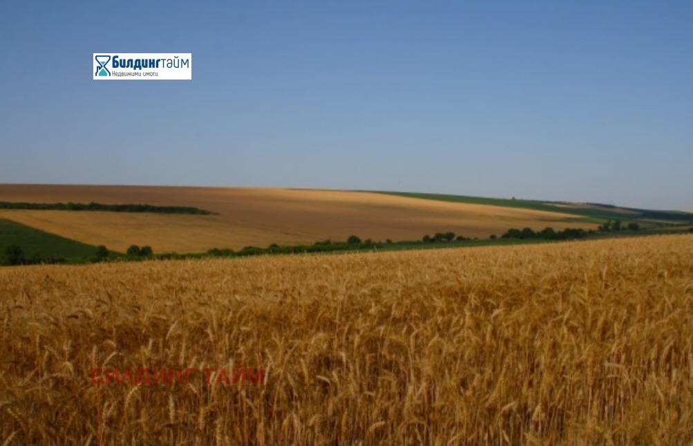 ������� ���������� ���� | Imot.bg � ����������� 1