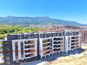 ����� ������� 2-�����,���� �����, �������� ������>