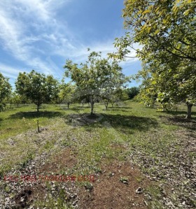 Продава  Парцел, гр. Перущица