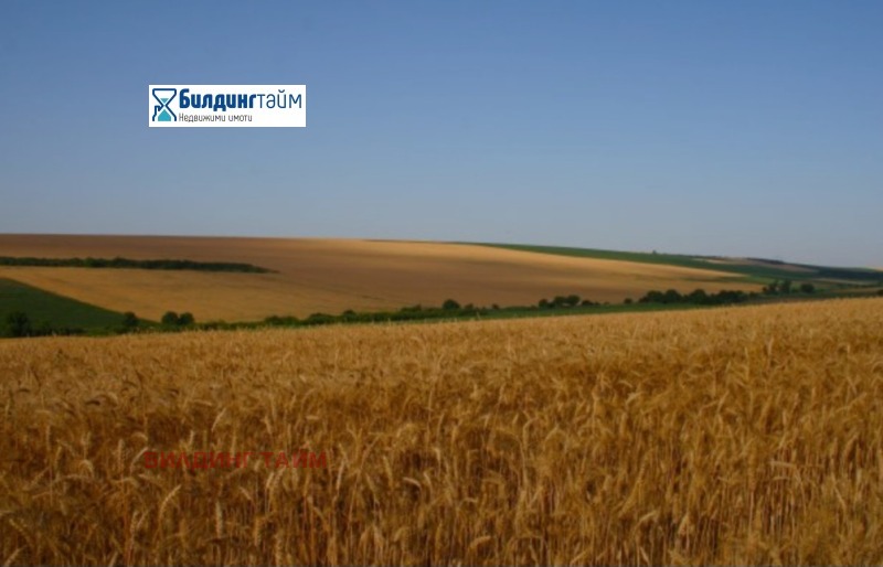 Продава ЗЕМЕДЕЛСКА ЗЕМЯ, с. Черенча, област Шумен